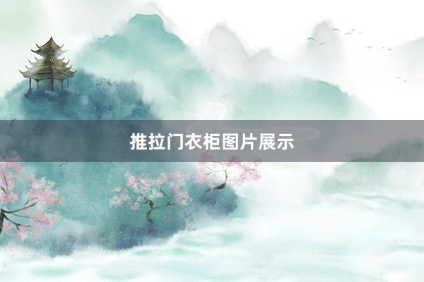 推拉门衣柜图片展示